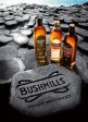 Bushmills Irish Whiskey 21 Year For Discount