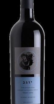 Binyamina Cabernet Sauvignon Merlot Yogev 2013 Hot on Sale