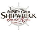 Brinley Gold Shipwreck Rum Spiced Cheap