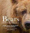 Bears of North America: Black Bears, Brown Bears, and Polar Bears on Sale