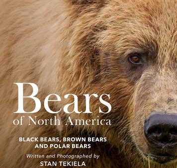 Bears of North America: Black Bears, Brown Bears, and Polar Bears on Sale