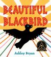 Beautiful Blackbird Sale