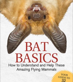 Bat Basics: How to Understand and Help These Amazing Flying Mammals Sale