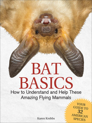 Bat Basics: How to Understand and Help These Amazing Flying Mammals Sale