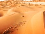 Empty Quarter Online Sale